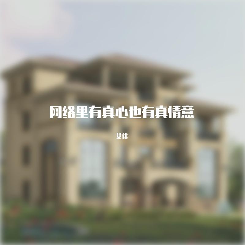 网络里有真心也有真情意封面