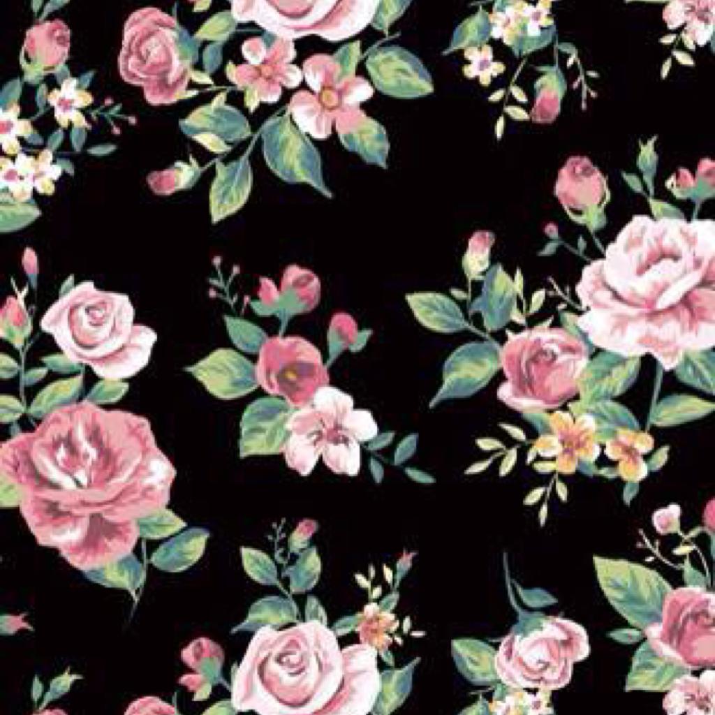 二次元东方永夜猫