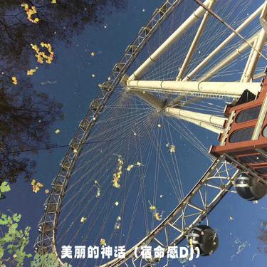 美丽的神话 (DJ版)封面