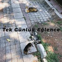 Tek Günlük Eğlence