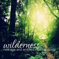 Wilderness New Age and Ambient Relaxing Music