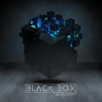 Black Box