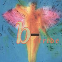 B-Tribe