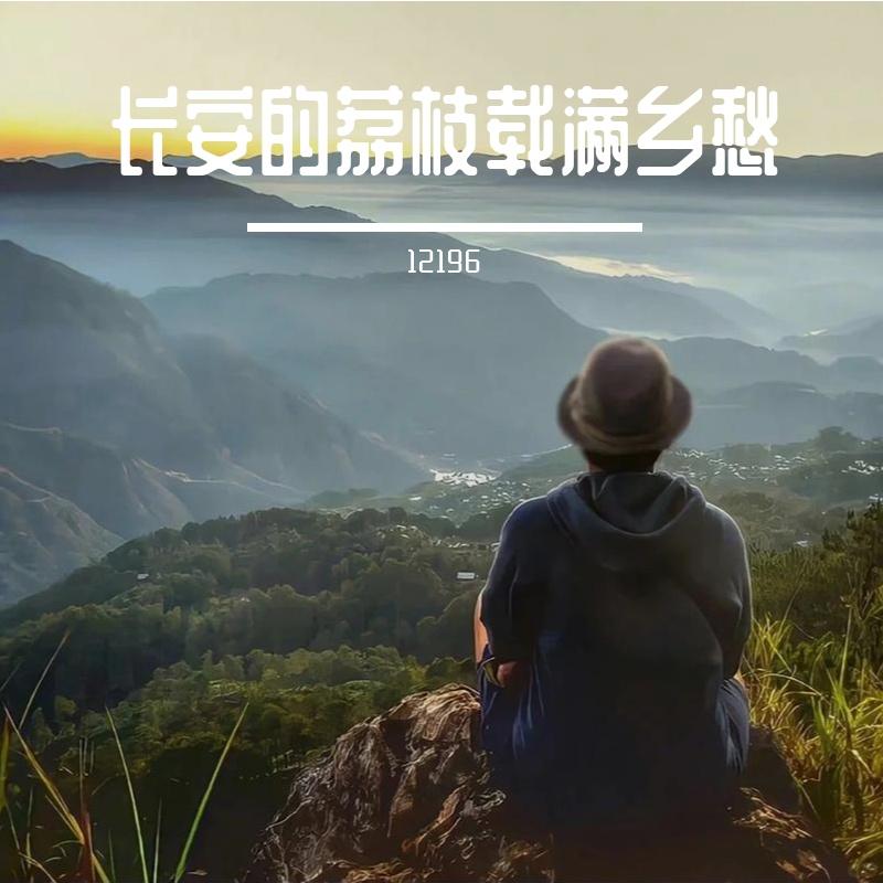 踏夜升明照亮前行路封面