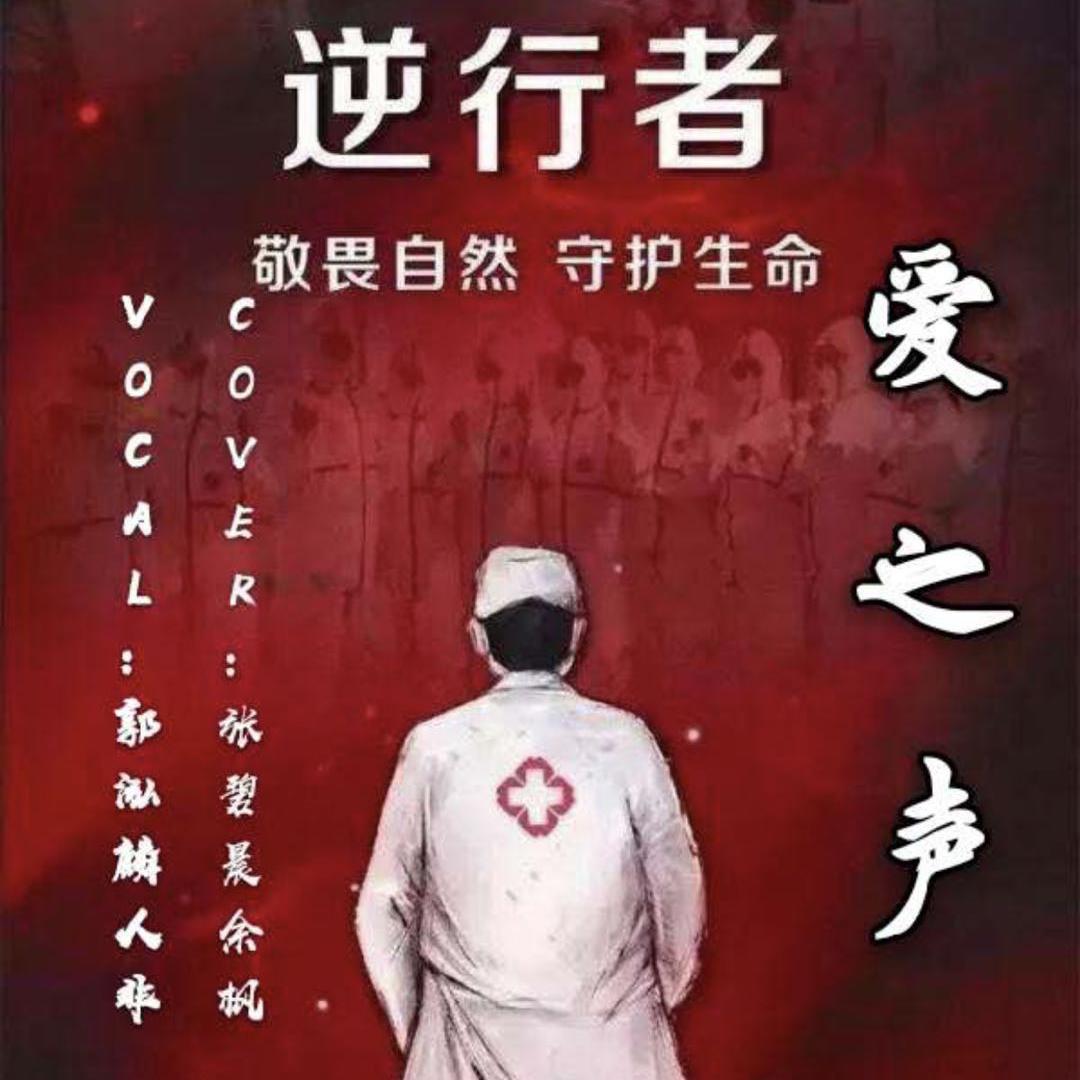 爱之声封面
