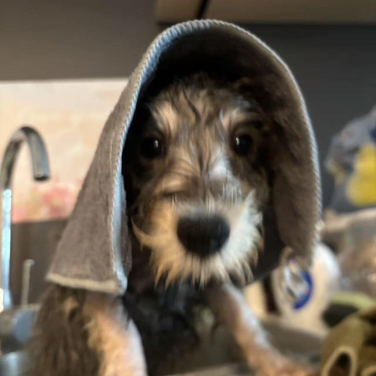 欧美•流行•电子•纯音乐