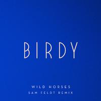 Wild Horses (Sam Feldt Remix)