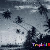 Tropical Bliss资料,Tropical Bliss最新歌曲,Tropical BlissMV视频,Tropical Bliss音乐专辑,Tropical Bliss好听的歌