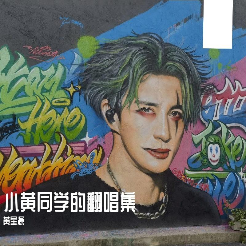 无数 （翻唱正式版）封面