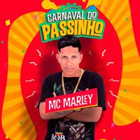 Carnaval do Passinho