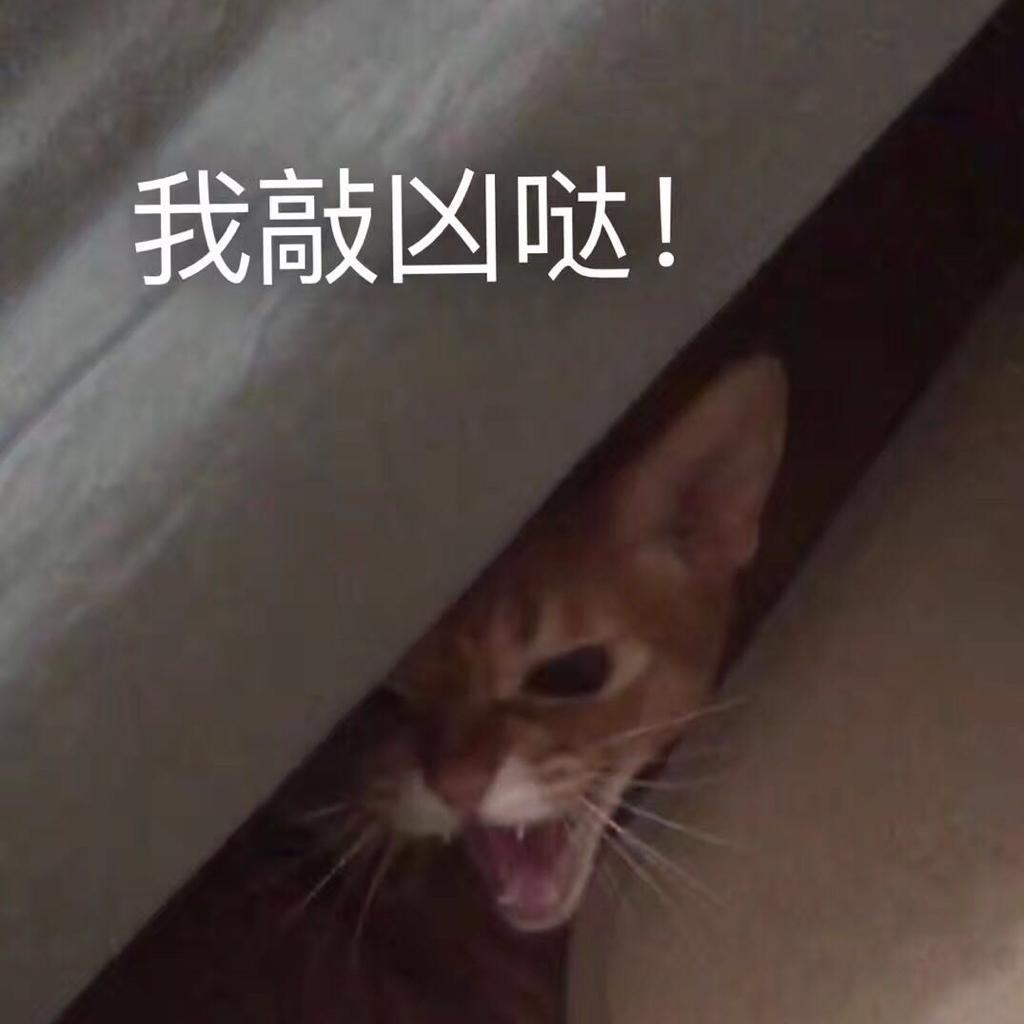 音效（自家用）