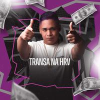 TRANSA NA HRV (feat. MC GORDYNHOO)