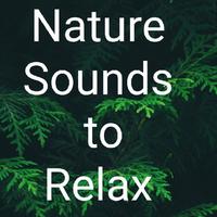 Nature Sounds to Relax资料,Nature Sounds to Relax最新歌曲,Nature Sounds to RelaxMV视频,Nature Sounds to Relax音乐专辑,Nature Sounds to Relax好听的歌