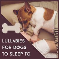 Lullabies for Dogs to Sleep to: Relaxing Music for Sleeping Problems, Anxiety Problems or Stress