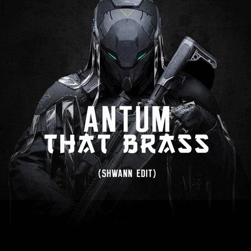 That Brass (Shwann Edit)封面
