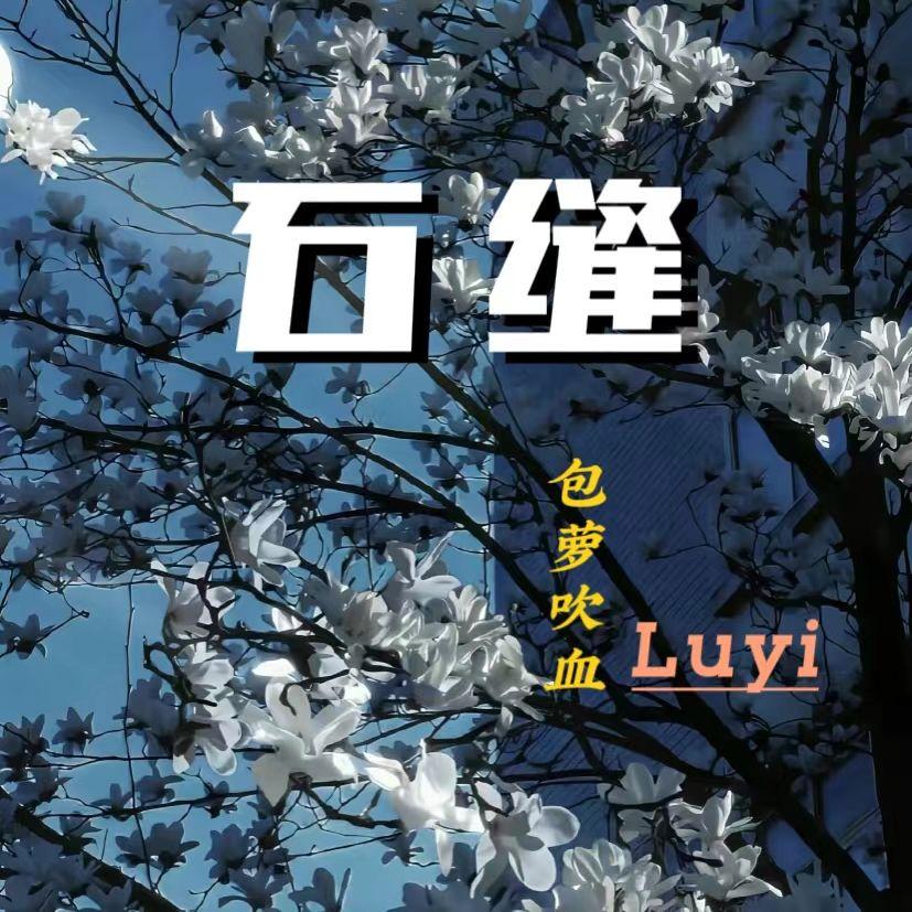 塑料品freestyle - Luyi、包萝吹血封面