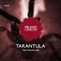 Tarantula