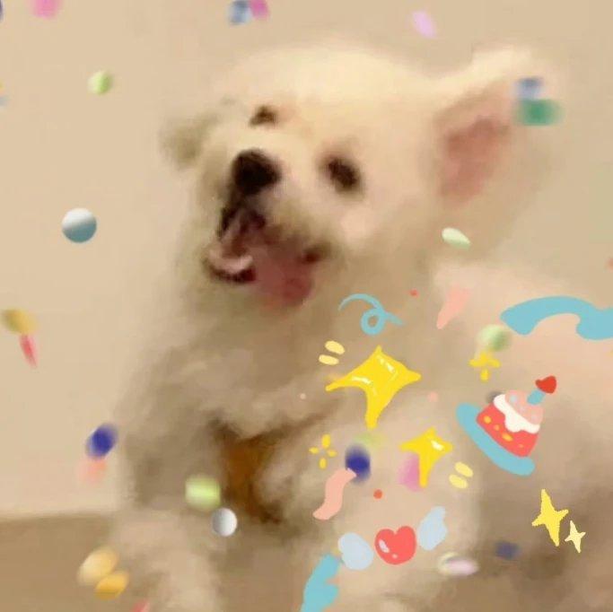 越听越好听的歌~