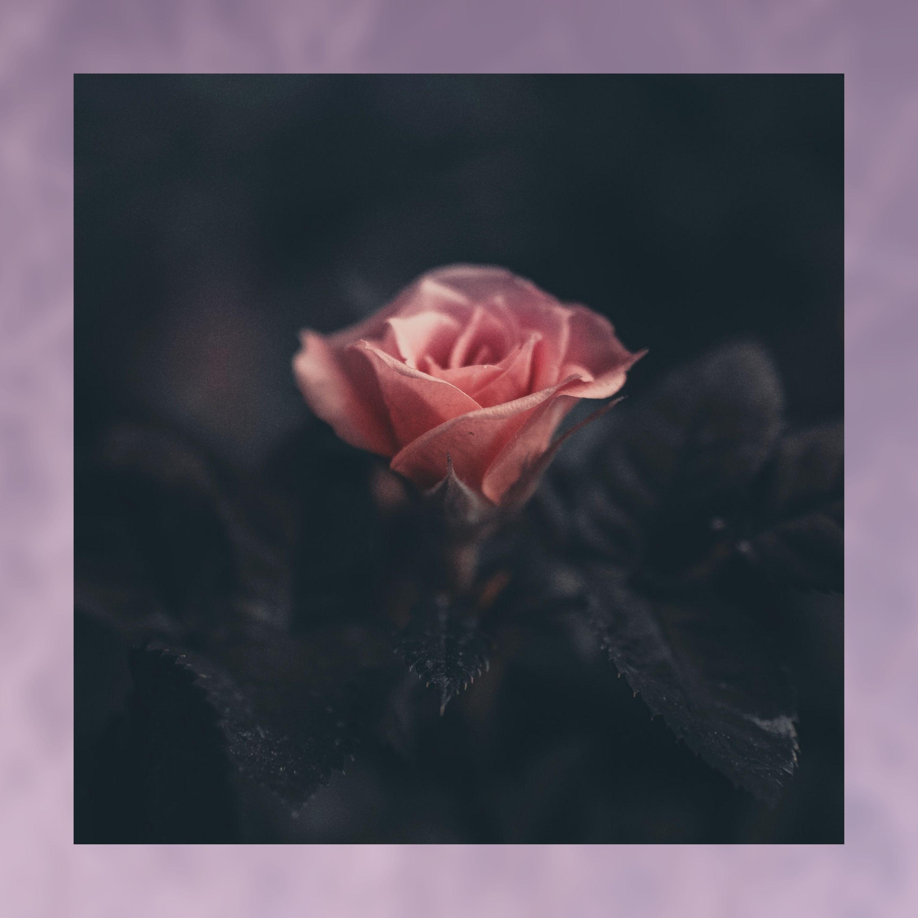 Your Worst Mistake (feat. Darkforestdrives)