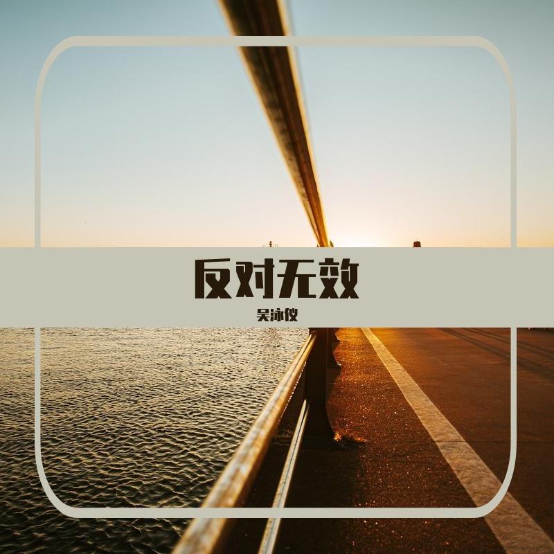 反对无效封面