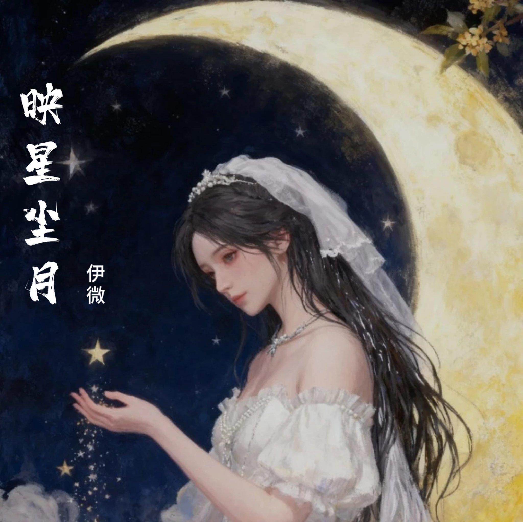 映星尘月封面