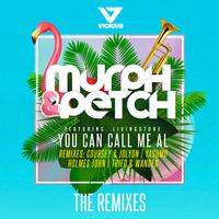 You Can Call Me Al [REMIXES]