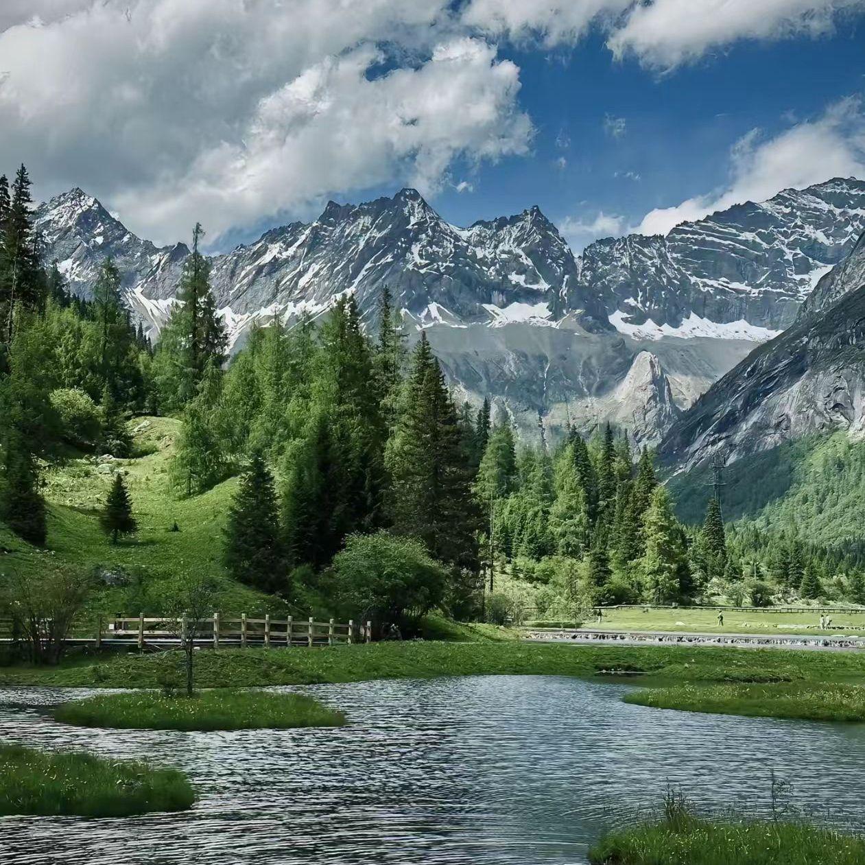 茶点漾出的温暖瞬间