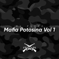 Mafia Potosina V1