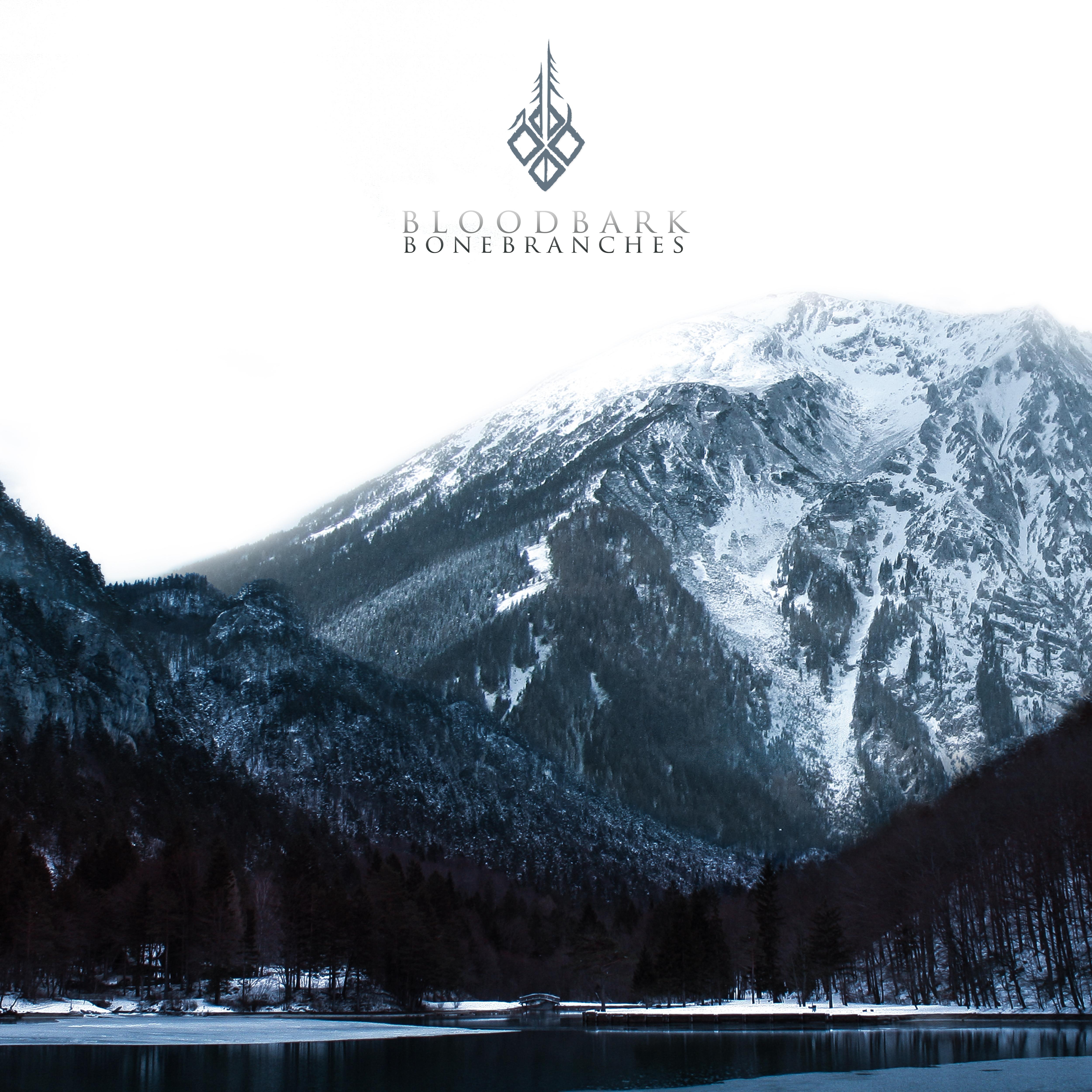 Eyeless Winter_Bloodbark_Bonebranches | 在线播放_Eyeless Winter歌词_Eyeless Winter下载 | 网易云音乐