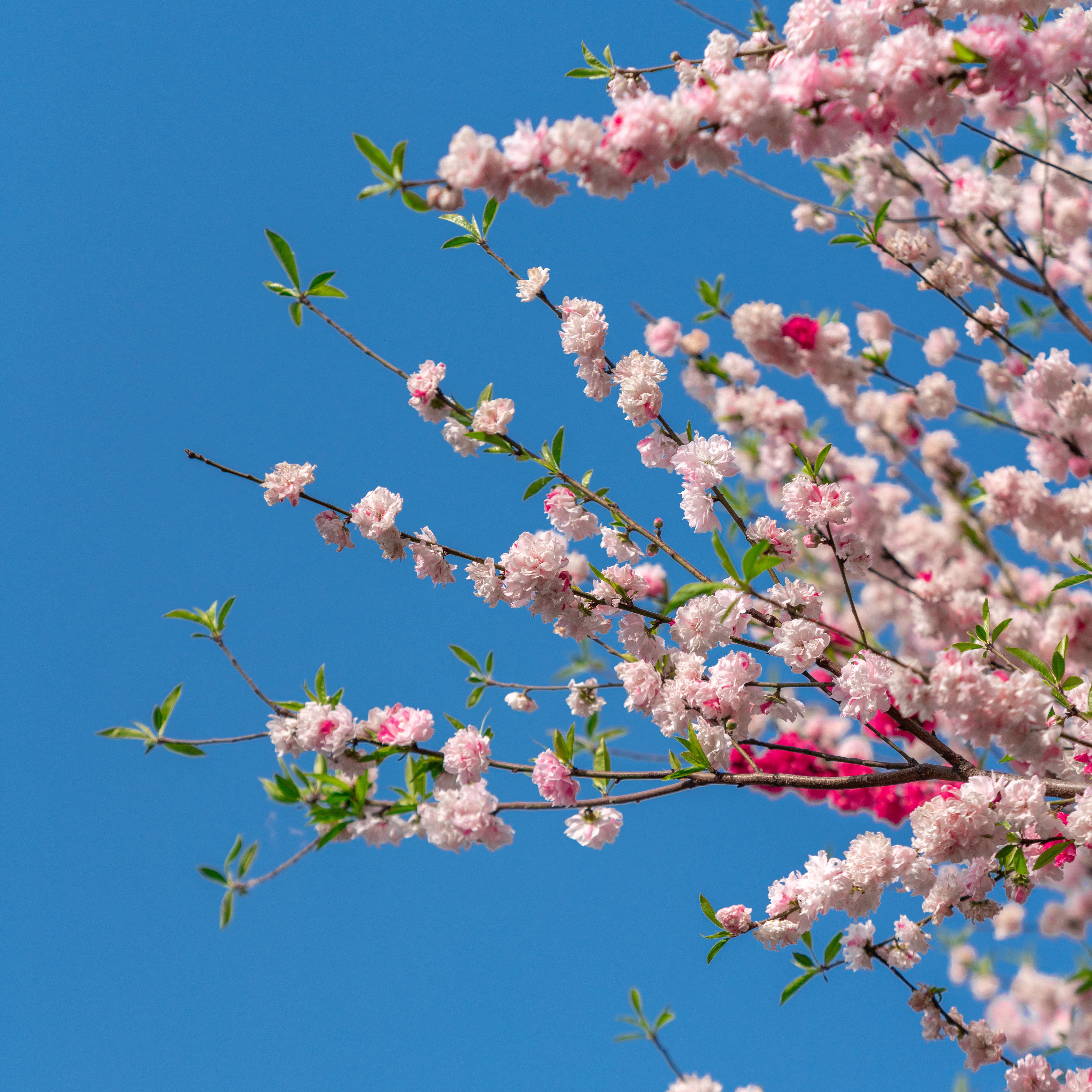 舒缓｜欢快｜升格｜纯音｜希望｜抒情｜风光