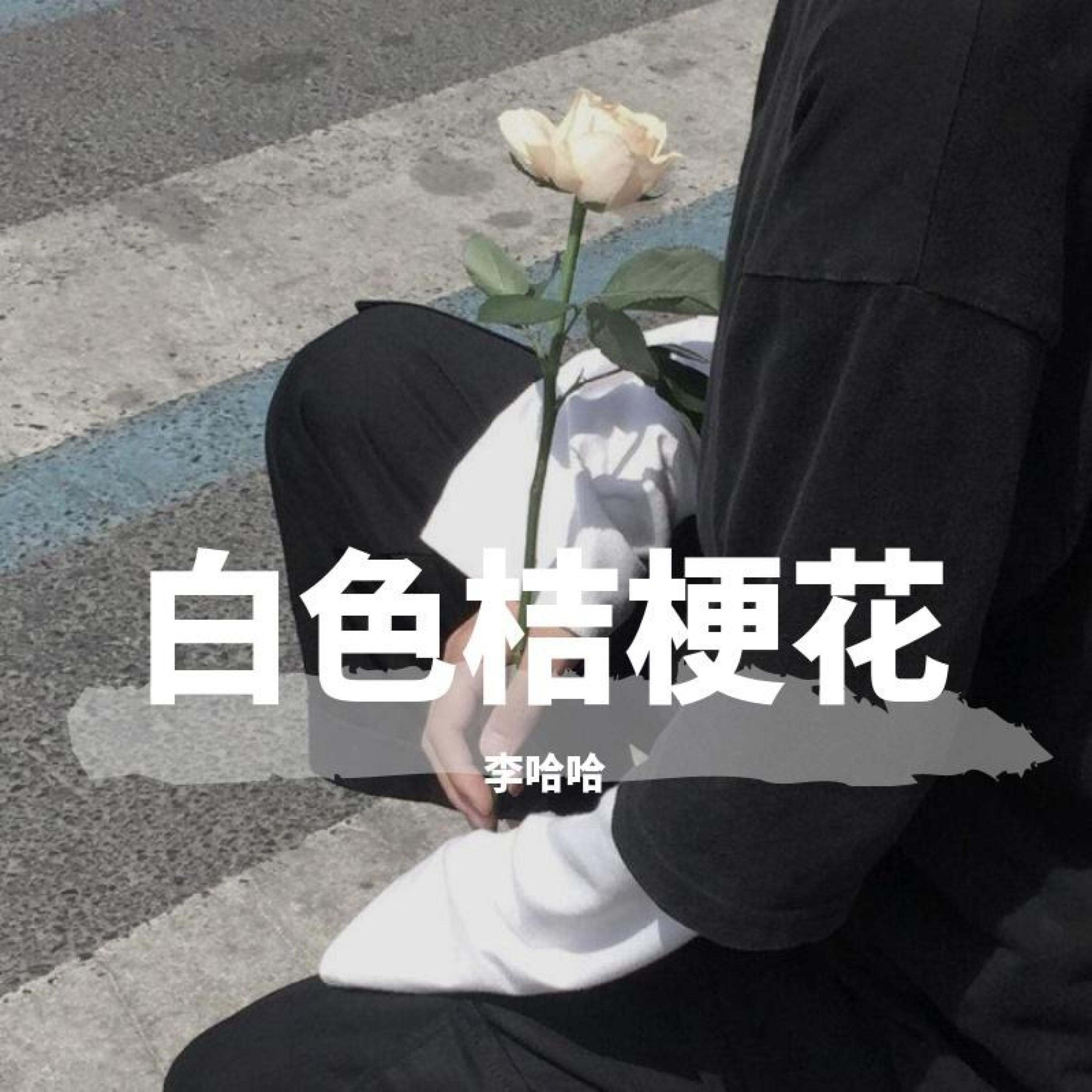 白色桔梗花（翻自 诗人凉）封面