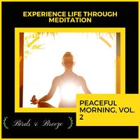 Experience Life Through Meditation - Peaceful Morning, Vol. 2