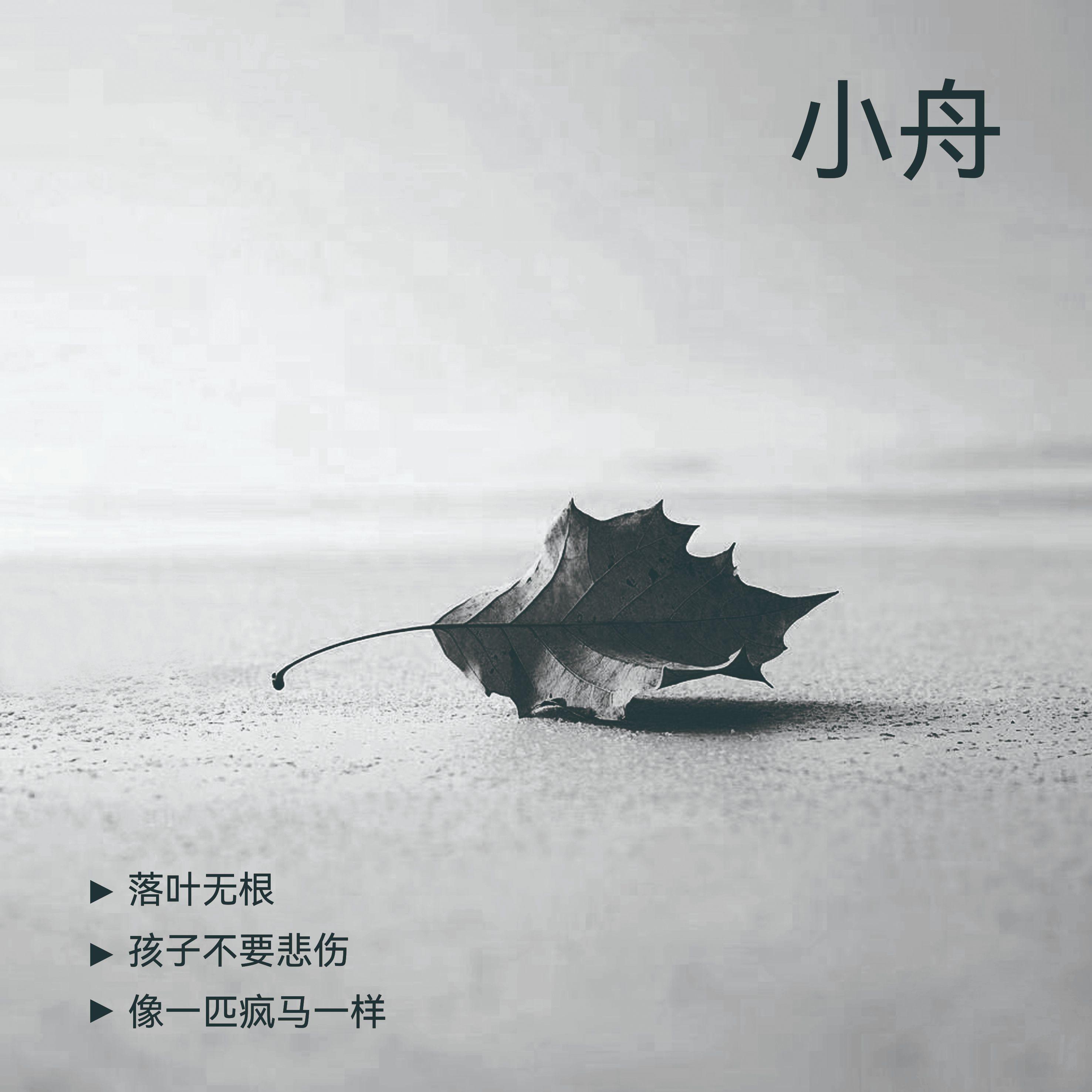 落叶无根 - 小舟与旅行者封面