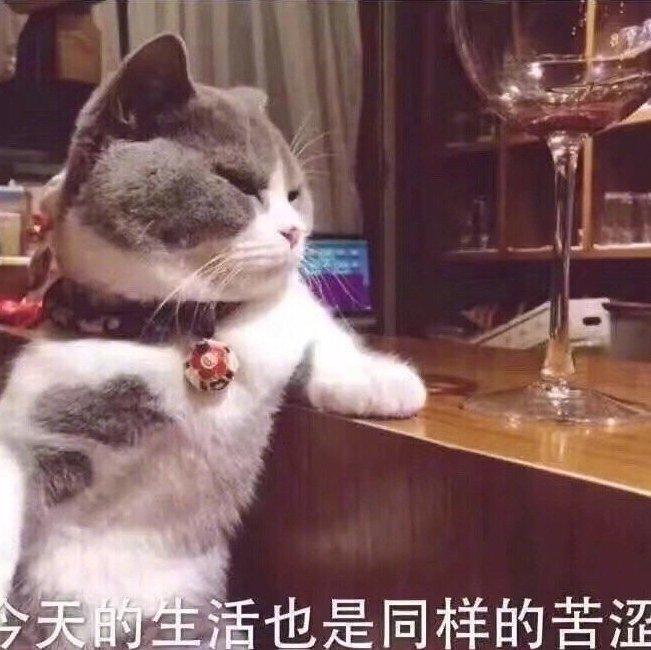 神仙歌单，提高品味