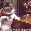神仙歌单，提高品味