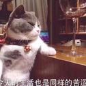 神仙歌单，提高品味