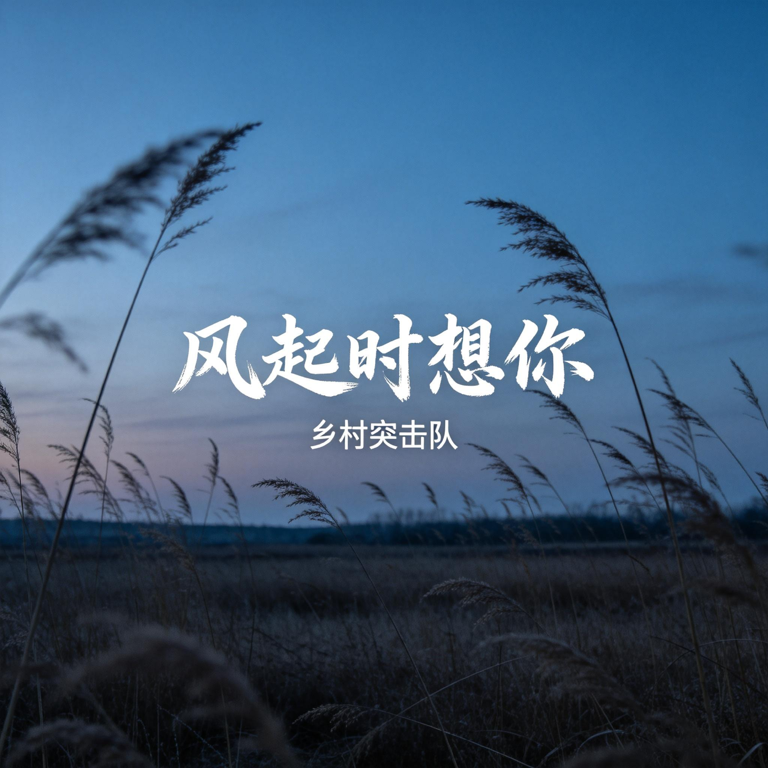 风起时想你封面