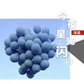今夜星光闪闪 (伴奏)封面