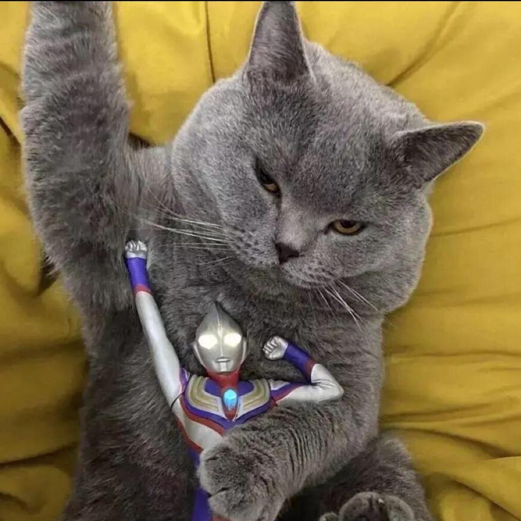 ‘‘网易云音乐’’