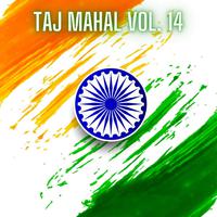 Taj Mahal Vol. 14