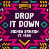 Sidney Samson - Drop It Down (Extended Mix)