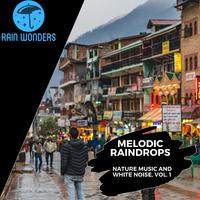 Melodic Raindrops - Nature Music and White Noise, Vol. 1