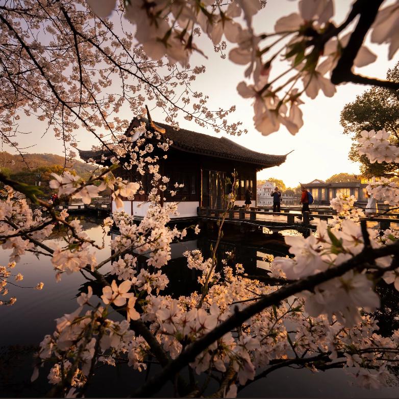 旧信笺：INFP的精神角落