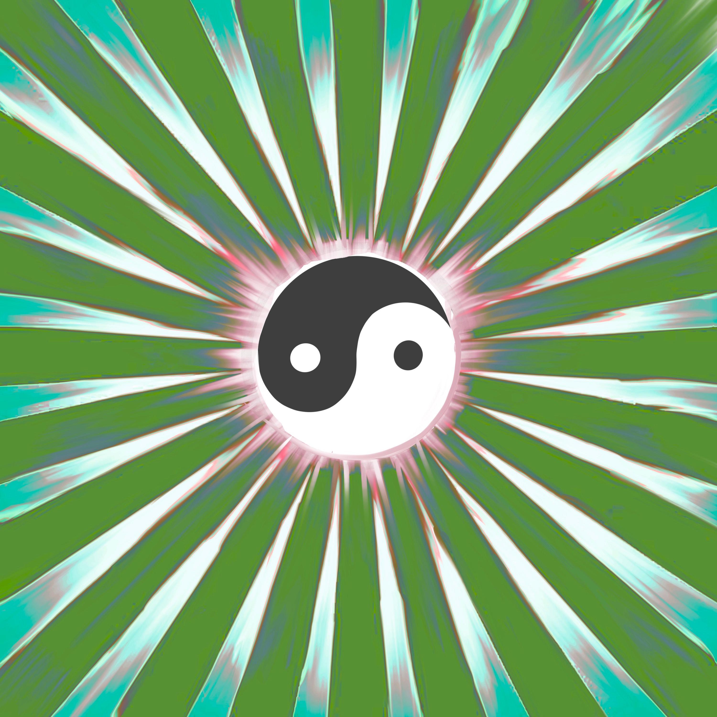 In the Dojo (feat. Zonny)