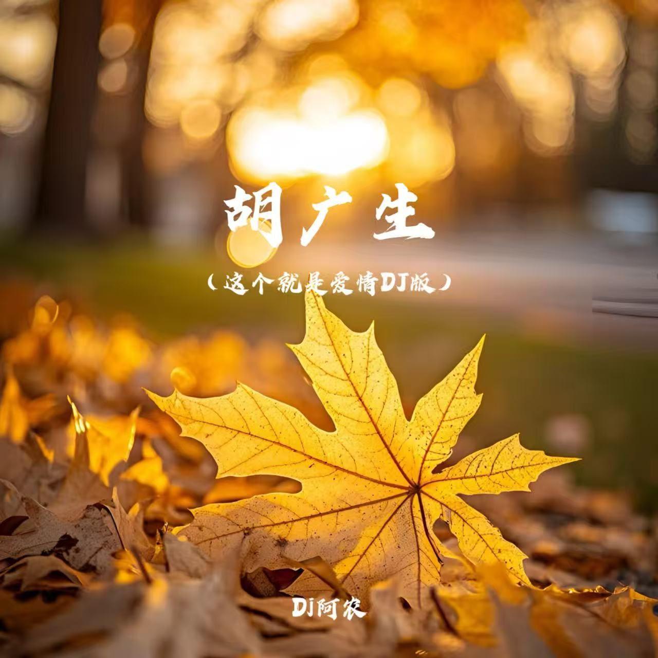 胡广生 (DJ版)封面