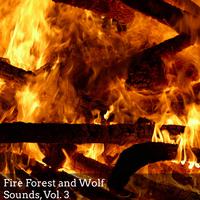 Fire Forest and Wolf Sounds, Vol. 3