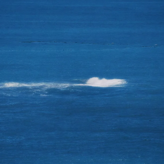 纯音乐/在破碎中捡拾自己