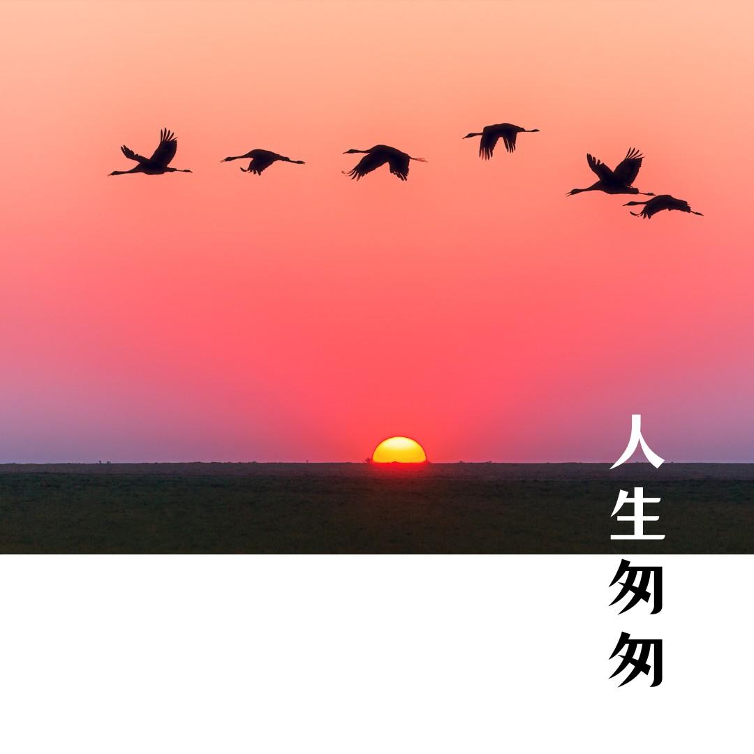 人生匆匆_村西_人生匆匆 | 在线播放_人生匆匆歌词_人生匆匆下载 | 网易云音乐