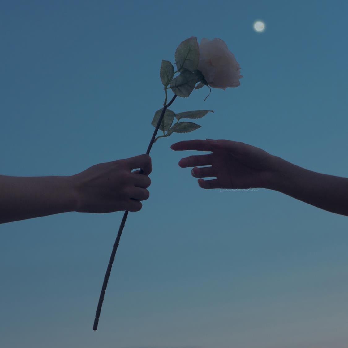 十七岁少女金色心