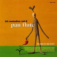 Tears in heaven - Pan flute melodies